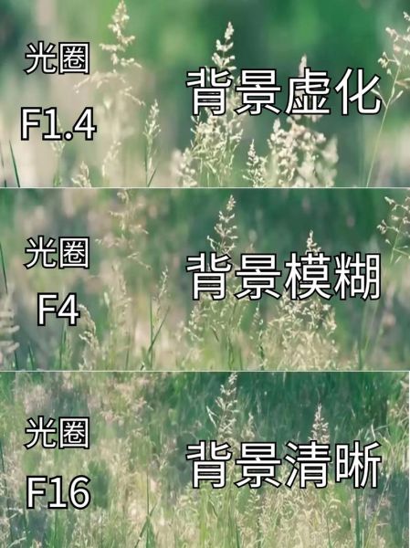 光圈系数是什么_镜头光圈数值怎么看-第2张图片-星辰妙记 光圈系数是什么_镜头光圈数值怎么看-第2张图片-星辰妙记