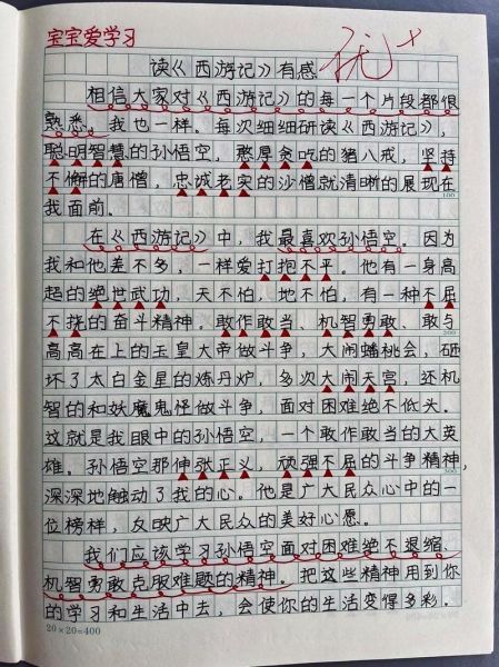 为你点赞作文500字怎么写_500字作文如何升华主题-第3张图片-星辰妙记