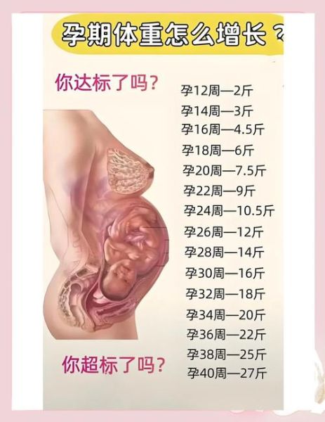 孕妇胖了怎么减肥_孕期控制体重的安全方法-第1张图片-星辰妙记