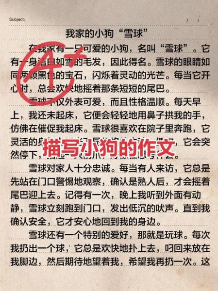 可爱的小狗作文怎么写_如何描写小狗的可爱之处-第1张图片-星辰妙记 可爱的小狗作文怎么写_如何描写小狗的可爱之处-第1张图片-星辰妙记