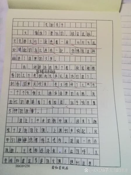 人间情感作文怎么写_如何写出真情实感-第3张图片-星辰妙记