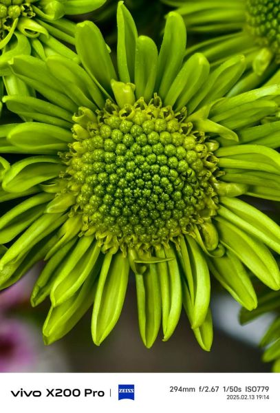 蔡司镜头手机有哪些_拍照效果怎么样-第1张图片-星辰妙记 蔡司镜头手机有哪些_拍照效果怎么样-第1张图片-星辰妙记