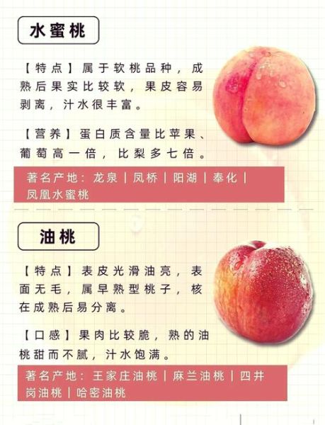 孕妇梦见桃子是男是女_孕妇梦见桃子预示什么-第3张图片-星辰妙记