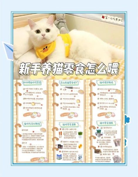 小猫咪怎么养_小猫咪爱吃什么-第3张图片-星辰妙记