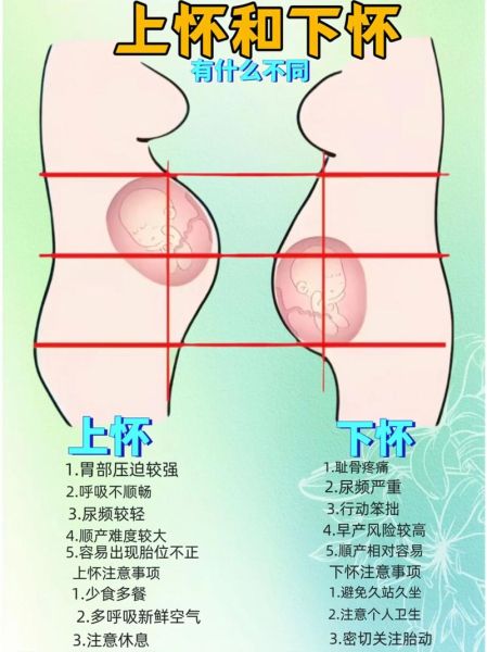 孕妇初乳早怀的是男孩吗_初乳早与胎儿性别关系-第3张图片-星辰妙记