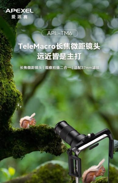 手机长焦镜头有用吗_长焦镜头适合拍什么-第2张图片-星辰妙记 手机长焦镜头有用吗_长焦镜头适合拍什么-第2张图片-星辰妙记