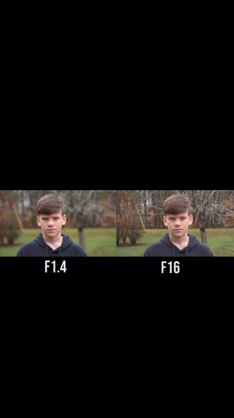 手机镜头景深怎么调_手机拍照景深效果如何实现-第3张图片-星辰妙记