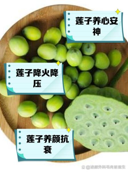 孕妇可以吃莲子吗_孕妇吃莲子的好处与禁忌-第2张图片-星辰妙记