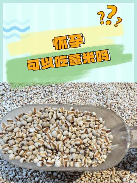 孕妇能吃薏仁米吗_薏仁米对孕妇的影响-第1张图片-星辰妙记