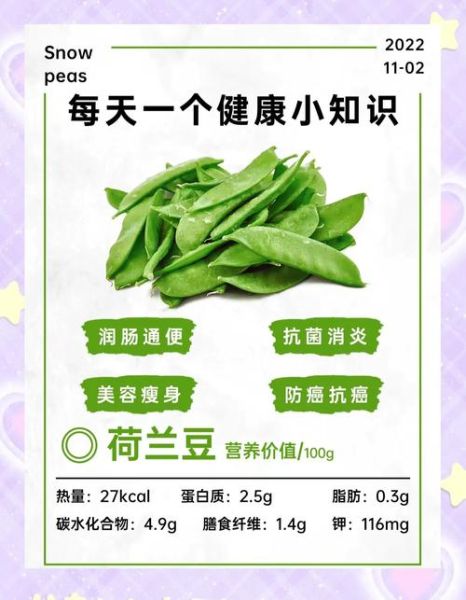 荷兰豆孕妇能吃吗_孕妇吃荷兰豆注意事项-第1张图片-星辰妙记 荷兰豆孕妇能吃吗_孕妇吃荷兰豆注意事项-第1张图片-星辰妙记