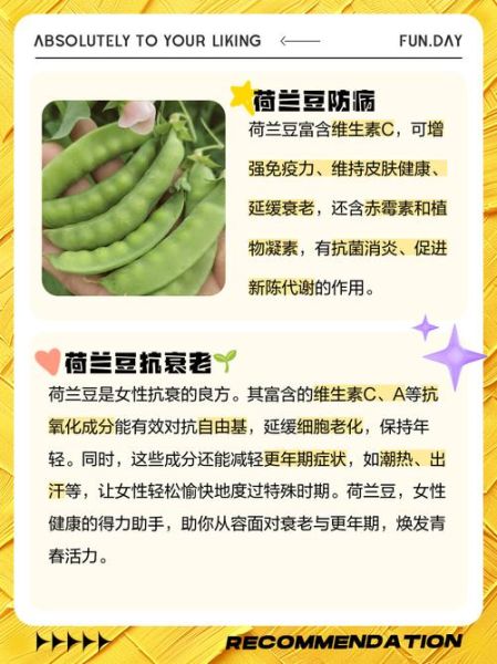 荷兰豆孕妇能吃吗_孕妇吃荷兰豆注意事项-第2张图片-星辰妙记 荷兰豆孕妇能吃吗_孕妇吃荷兰豆注意事项-第2张图片-星辰妙记