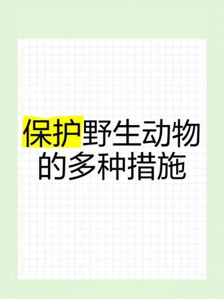 为什么要保护动物_如何保护野生动物-第1张图片-星辰妙记 为什么要保护动物_如何保护野生动物-第1张图片-星辰妙记