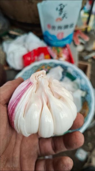 孕妇能吃腌大蒜吗_怀孕吃蒜安全吗-第3张图片-星辰妙记