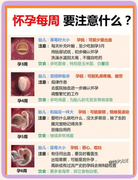孕妇36周注意事项_36周胎儿发育情况-第1张图片-星辰妙记 孕妇36周注意事项_36周胎儿发育情况-第1张图片-星辰妙记