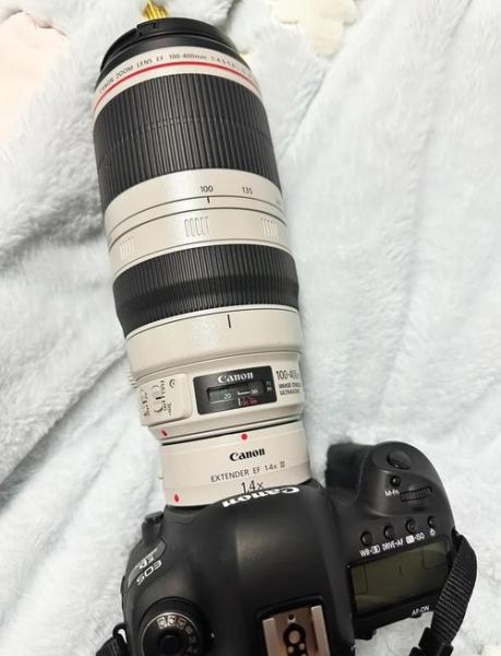 佳能镜头大白怎么样_佳能100-400二代值得买吗-第3张图片-星辰妙记
