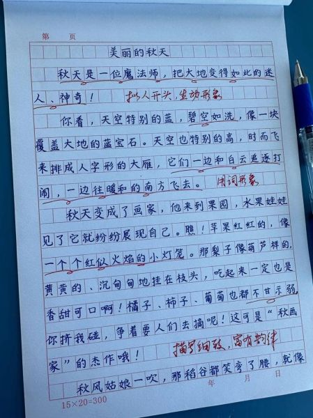 300字作文怎么写_小学生300字作文范例-第1张图片-星辰妙记