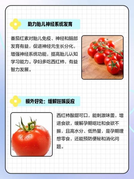 孕妇多吃西红柿好吗_孕期吃西红柿的注意事项-第1张图片-星辰妙记
