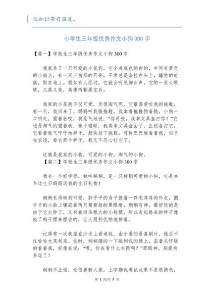 三年级优秀作文300字怎么写_三年级作文如何写得生动-第2张图片-星辰妙记