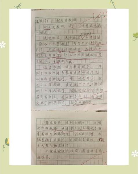 六年级写景作文怎么写_校园的秋天作文800字-第2张图片-星辰妙记
