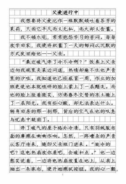 父爱是什么_如何描写父爱作文高中-第2张图片-星辰妙记