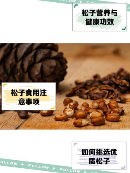 松子孕妇能吃吗_孕妇吃松子的好处与禁忌-第3张图片-星辰妙记 松子孕妇能吃吗_孕妇吃松子的好处与禁忌-第3张图片-星辰妙记