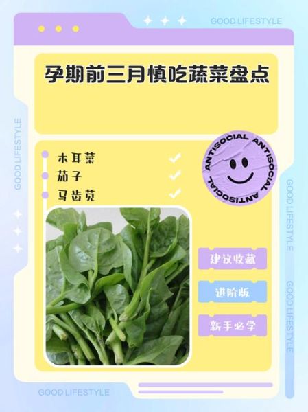 孕妇吃什么蔬菜好_孕期蔬菜禁忌有哪些-第3张图片-星辰妙记 孕妇吃什么蔬菜好_孕期蔬菜禁忌有哪些-第3张图片-星辰妙记
