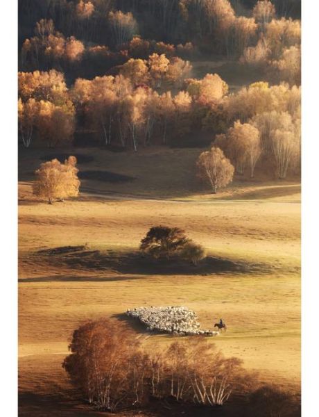 坝上摄影用什么镜头_坝上草原长焦还是广角-第2张图片-星辰妙记 坝上摄影用什么镜头_坝上草原长焦还是广角-第2张图片-星辰妙记