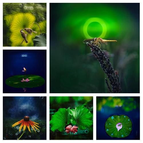 折返镜头怎么用_折返镜头拍摄技巧-第1张图片-星辰妙记 折返镜头怎么用_折返镜头拍摄技巧-第1张图片-星辰妙记