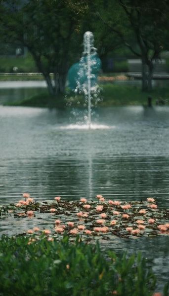 折返镜头怎么用_折返镜头拍摄技巧-第2张图片-星辰妙记 折返镜头怎么用_折返镜头拍摄技巧-第2张图片-星辰妙记