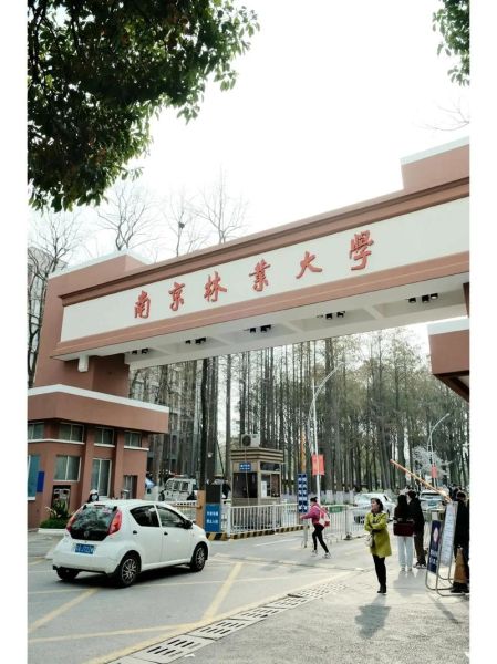 南京林业大学地址在哪里_南京林业大学有几个校区-第2张图片-星辰妙记 南京林业大学地址在哪里_南京林业大学有几个校区-第2张图片-星辰妙记