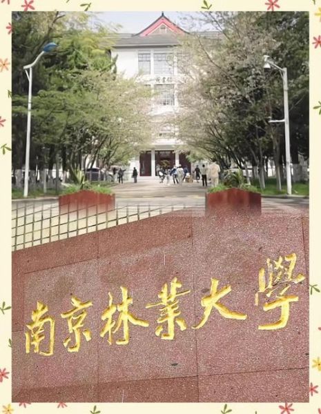 南京林业大学地址在哪里_南京林业大学有几个校区-第3张图片-星辰妙记 南京林业大学地址在哪里_南京林业大学有几个校区-第3张图片-星辰妙记