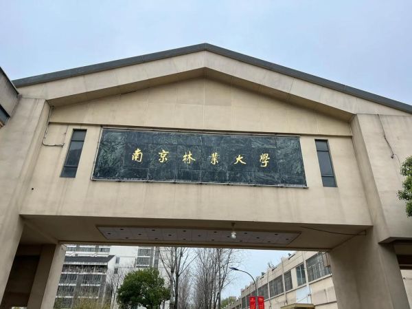 南京林业大学地址在哪里_南京林业大学有几个校区-第1张图片-星辰妙记 南京林业大学地址在哪里_南京林业大学有几个校区-第1张图片-星辰妙记