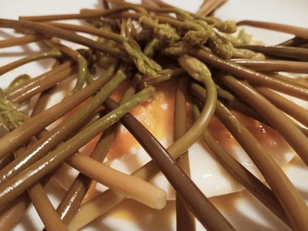 孕妇可以吃折耳根吗_折耳根孕妇能吃吗-第2张图片-星辰妙记 孕妇可以吃折耳根吗_折耳根孕妇能吃吗-第2张图片-星辰妙记