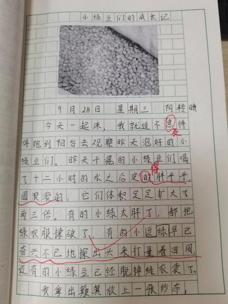 四年级上册四单元作文怎么写_如何写观察日记-第2张图片-星辰妙记 四年级上册四单元作文怎么写_如何写观察日记-第2张图片-星辰妙记