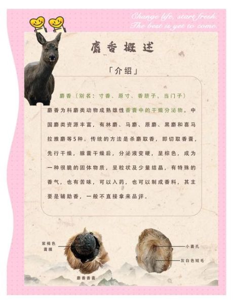 孕妇能接触麝香吗_麝香对孕妇的影响-第3张图片-星辰妙记