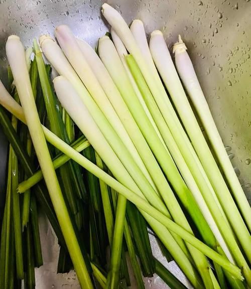 孕妇可以吃香茅吗_香茅对孕妇的影响-第3张图片-星辰妙记 孕妇可以吃香茅吗_香茅对孕妇的影响-第3张图片-星辰妙记