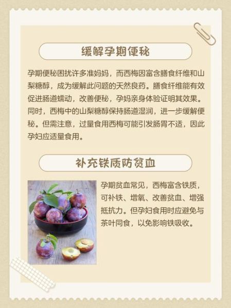 孕妇可以吃西梅吗_西梅对胎儿的好处-第2张图片-星辰妙记