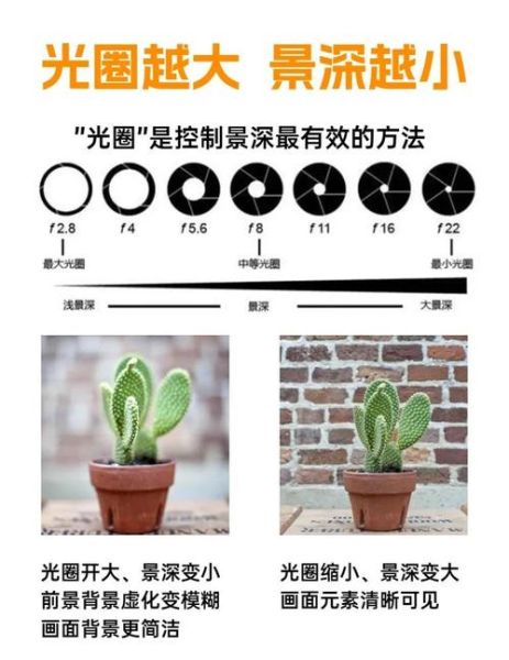 大景深镜头怎么用_大景深镜头适合拍什么-第3张图片-星辰妙记