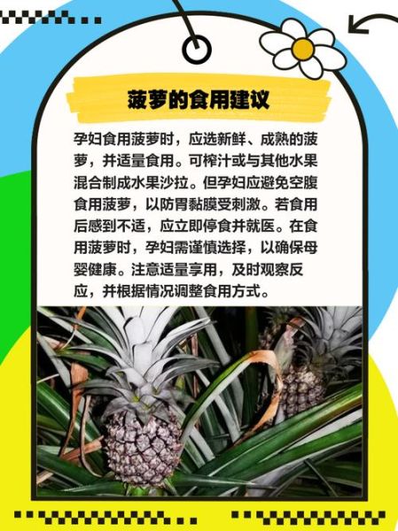 孕妇可以吃菠萝吗_孕妇吃菠萝对胎儿有影响吗-第2张图片-星辰妙记 孕妇可以吃菠萝吗_孕妇吃菠萝对胎儿有影响吗-第2张图片-星辰妙记