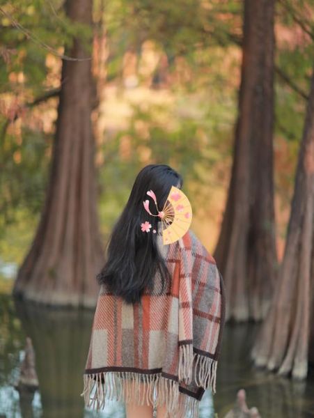 佳能85mm定焦镜头怎么样_适合拍什么题材-第1张图片-星辰妙记