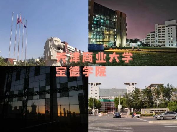 天津商业大学宝德学院怎么样_宝德学院有哪些专业-第3张图片-星辰妙记