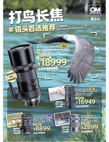 佳能打鸟镜头推荐_哪款长焦最适合拍鸟-第2张图片-星辰妙记