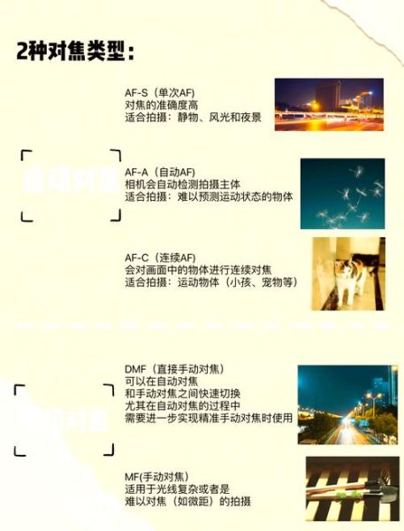 单反镜头对焦模式怎么选_对焦速度提升技巧-第3张图片-星辰妙记