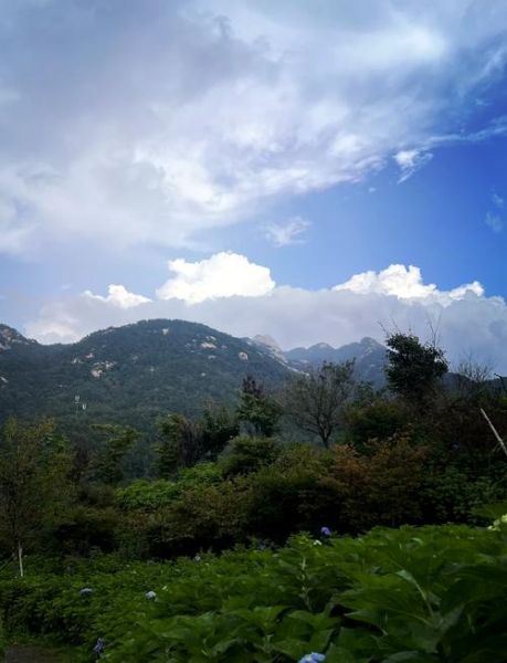 游昆嵛山攻略_昆嵛山作文怎么写-第3张图片-星辰妙记 游昆嵛山攻略_昆嵛山作文怎么写-第3张图片-星辰妙记