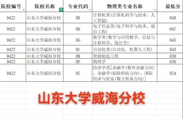山东大学威海校区怎么样_山东大学威海校区有哪些专业-第2张图片-星辰妙记