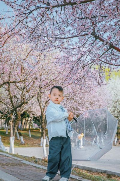 拍外景镜头怎么选_拍外景用什么镜头最好-第2张图片-星辰妙记