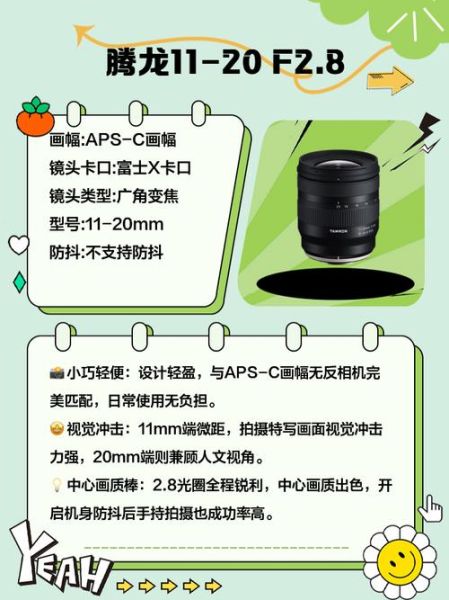 RF镜头群怎么选_RF镜头群推荐-第1张图片-星辰妙记