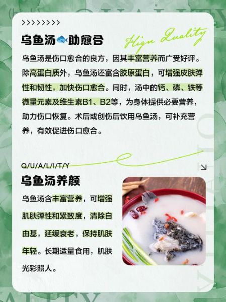 孕妇吃乌鱼有什么好处_乌鱼汤适合孕妇喝吗-第1张图片-星辰妙记