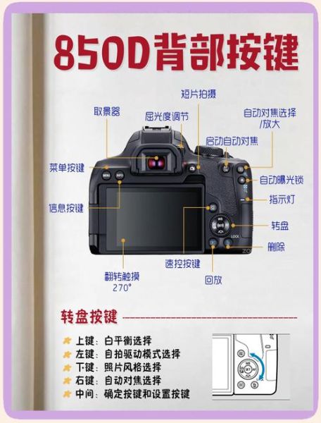 单反怎么安装镜头_镜头装不上怎么办-第1张图片-星辰妙记 单反怎么安装镜头_镜头装不上怎么办-第1张图片-星辰妙记