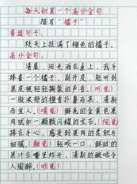 橘子人生作文怎么写_橘子人生作文素材有哪些-第1张图片-星辰妙记